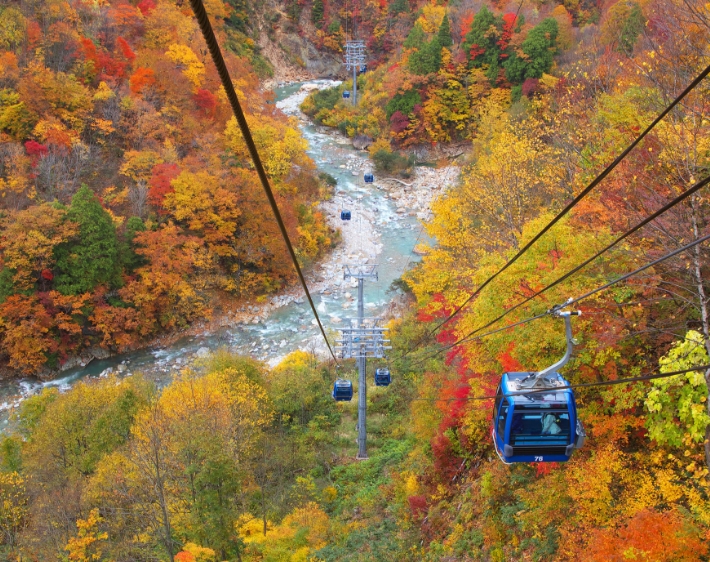 苗場プリンスホテル3